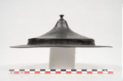 Foto von Bronzephalere (NHMW-PRAE-025108)